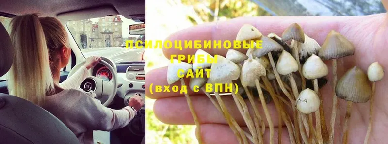 mega ONION  что такое   Краснокамск  Псилоцибиновые грибы MAGIC MUSHROOMS 